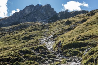 Female hiker on hiking trail, Sallfelder Höhenweg, back Schochenkopf, Tannheimer Mountains, Allgäu