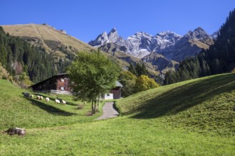 Old farmhouse in Einödsbach, behind Trettachspitze, autumn atmosphere, behind Trettachspitze,