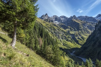 View of the Bacherloch Valley, in the back mountains of the Allgäu Alps with Trettachspitze,