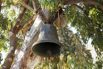 Church bell hangs in a tree in Chora, old town of Naxos, Naxos, Cyclades, Greece