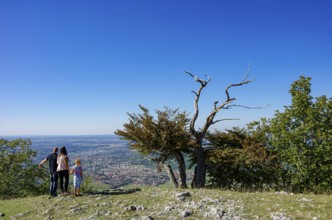 Picturesque scenery on the eaves of the Swabian Jura near Olgafels on Rossfeld in Metzingen-Glems,