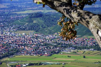 Picturesque scenery on the eaves of the Swabian Jura near Olgafels on Rossfeld in Metzingen-Glems,