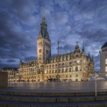 Town Hall Square, Rathausplatz, Rathausplatz with Hamburg City Hall and cloudy sky in the