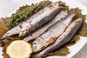 Baked fish, in grape leaves, with spices, on a white plate, homemade