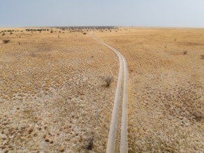 Aerial view, Lonely road in dry landscape, Botswana