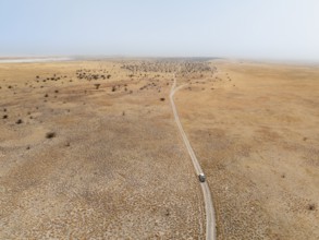 Aerial view of car on lonely road in arid landscape, Botswana