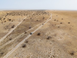Aerial view of two off-road cars driving on a road in arid countryside, African savanna, Botswana