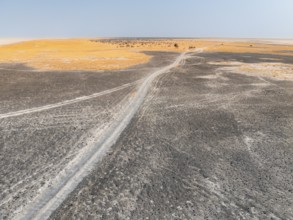 Aerial view, tire tracks on a salt pan, arid landscape, Botswana