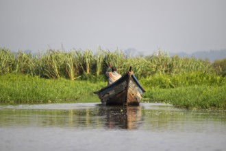 Boat in Mabamba Swamp, Mabamba Swamp, Lake Victoria, Uganda
