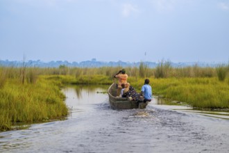 Boat with tourists in Mabamba Swamp, Tourists, Mabamba Swamp, Lake Victoria, Uganda