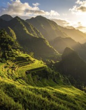 Early morning light bathes Philippines rice terraces cascading down mountain slopes, beautiful