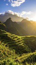Early morning light bathes Philippines rice terraces cascading down mountain slopes, beautiful