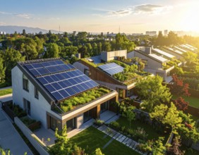 Aerial view showcases modern houses with solar panels and green roofs in a suburban setting,