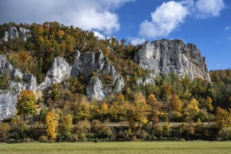 Distinctive Jurassic limestone cliffs in the upper Danube Valley, surrounded by autumn vegetation,