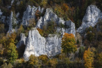 Distinctive Jurassic limestone cliffs in the upper Danube Valley, surrounded by autumn vegetation,
