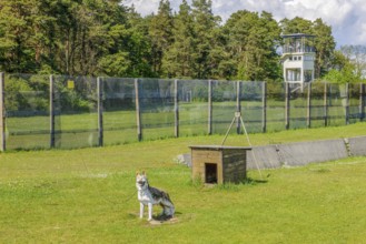Preserved original GDR border fence with green death strips from the 1970s, in the background US