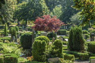 Trees and bushes among gravestones in the cemetery in Ystad, Skåne County, Sweden, Scandinavia
