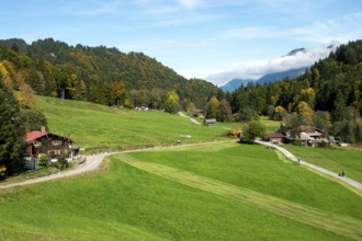 Weiden und Bauernhäuser, near Schwand, Stillachtal, Oberstdorf, Oberallgäu, Allgäu, Bavaria,