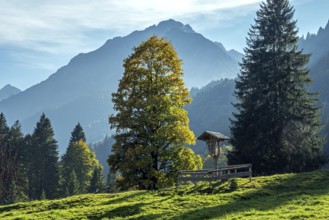 Crossroads in front of autumnal trees, behind mountains of the Allgäu Alps, Schwand, Stillachtal,