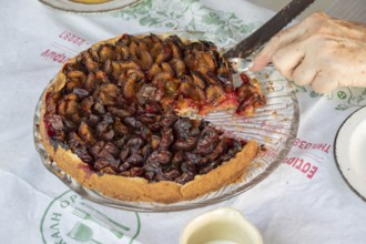 Fresh plum cake is cut, Bavaria, Germany