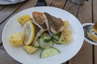 Fish fillet served with potatoes in a garden restaurant, Franconia, Bavaria, Germany