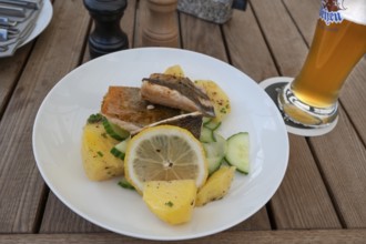 Fish fillet served with potatoes in a garden restaurant, Franconia, Bavaria, Germany