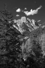 The southern falls of the Reither Alm above the Bindalm in the Klausbach Valley, Berchtesgaden