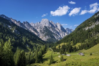 The southern falls of the Reither Alm above the Bindalm in the Klausbach Valley, Berchtesgaden
