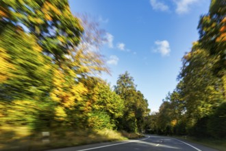 Car ride over winding country road, autumn leaves, sunny autumn weather, motion blur, Barntrup,