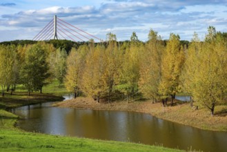 Wesel, Lower Rhine, North Rhine-Westphalia, Germany - autumn on the Lippe, trees with colorful