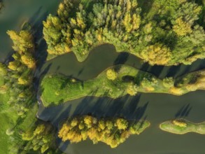 Wesel, Lower Rhine, North Rhine-Westphalia, Germany - autumn on the Lippe, trees with colorful