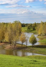 Wesel, Lower Rhine, North Rhine-Westphalia, Germany - autumn on the Lippe, trees with colorful