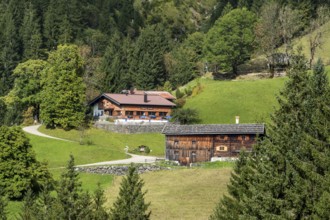 View of historic mountain farming village Gerstruben, Oberstdorf, Allgäu Alps, Oberallgäu, Allgäu,
