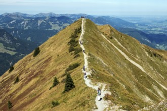 View of Schlappoldkopf with Fellhorn ridge hiking trail, Oberstdorf, Oberallgäu, Allgäu, Bavaria,