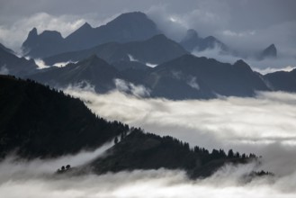 View from the Nebelhorn summit to mountains of the Allgäu Alps, mountains rising from fog in the