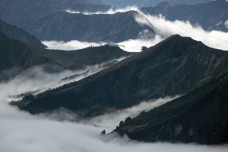 View from the Nebelhorn summit to mountains of the Allgäu Alps, in the middle of Fellhorn Horn with