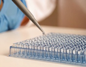 Controlled droplet from a pipette over rows of clear wells on a blue plate, Pipette dispensing a