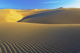 Sand dunes, Maspalomas, Playa del Ingles, Gran Canaria, Canary Islands, Spain