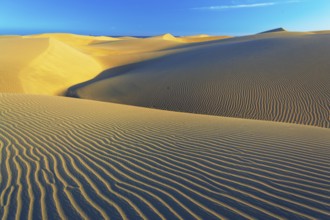 Sand dunes, Maspalomas, Playa del Ingles, Gran Canaria, Canary Islands, Spain