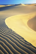 Sand dunes, Maspalomas, Playa del Ingles, Gran Canaria, Canary Islands, Spain