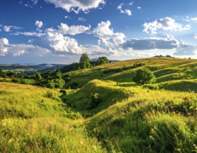 Fresh summer hilly Landscape with blooming Meadow, green plants, Blue Sky with cloudy sky, serene