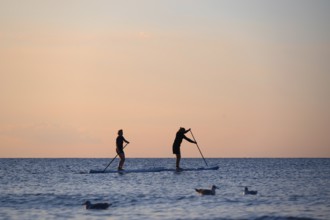 Two stand up paddlers on the Baltic Sea in the evening light, Ahrenshoop, Darß, Mecklenburg-Western