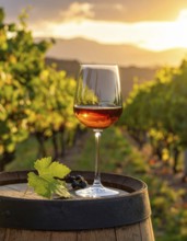 A glass of 10-year-old tawny wine placed on a barrel in a vineyard restaurant, vineyard landscape
