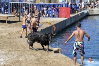 Bous a la Mar Fair, in English Bulls in the Sea, Bullfighting, Javea or Xàbia, Alicante Province,