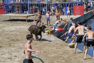 Bous a la Mar Fair, in English Bulls in the Sea, Bullfighting, Javea or Xàbia, Alicante Province,