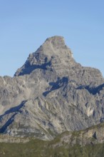 Mountain panorama from the Koblat-Höhenweg on the Nebelhorn across the Obertal with lush green