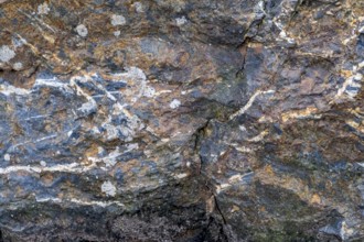 Iron manganese ore, sedimentary rock, Tertiary geological age, 40 mill. years old, North