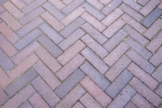 Herringbone clinker paving, Münsterland, North Rhine-Westphalia, Germany