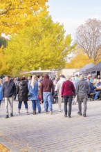 Group of people walking through an autumnal park with yellow deciduous trees, Urschelherbst street
