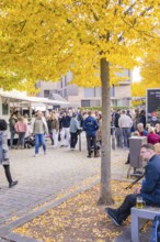 People gather at a street café at an autumn market under yellow trees, Urschelherbst street